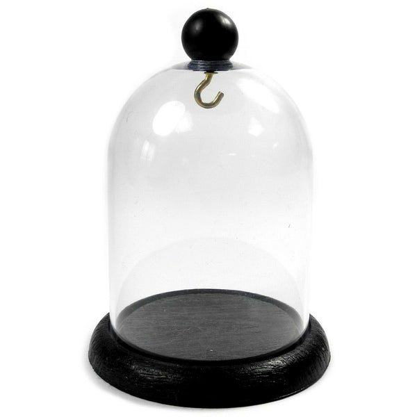 Pocket Watch Display Dome Height 120mm x 90mm (4.72" x 3.54")